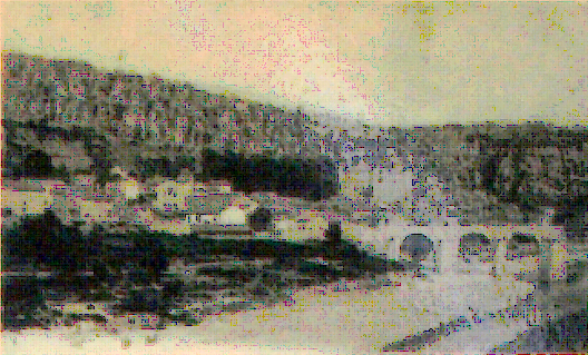 Le village de Vogüé en 1904 - l'allée de Marronniers du château se détache - en grande partie disparue